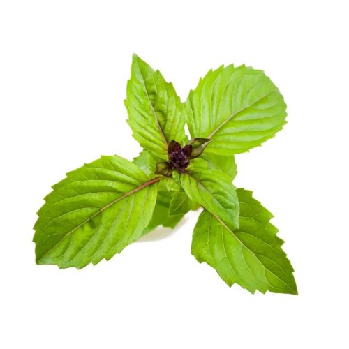 Click and Grow Smart Garden Refill 3-pack - Cinnamon Basil